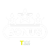  T55